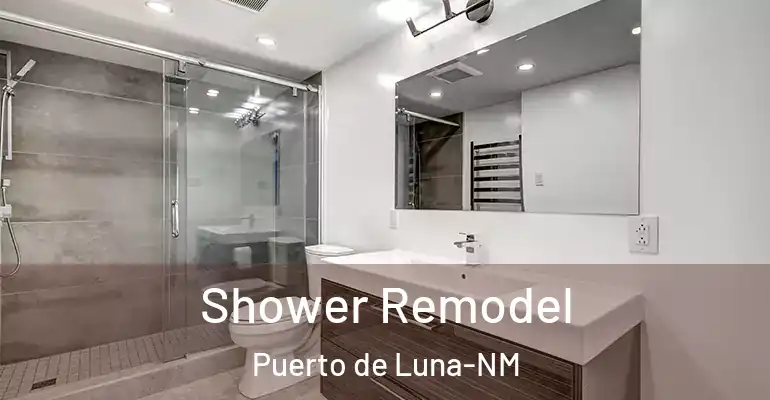 inner Bathroom imggen Shower Remodel Puerto de Luna-NM