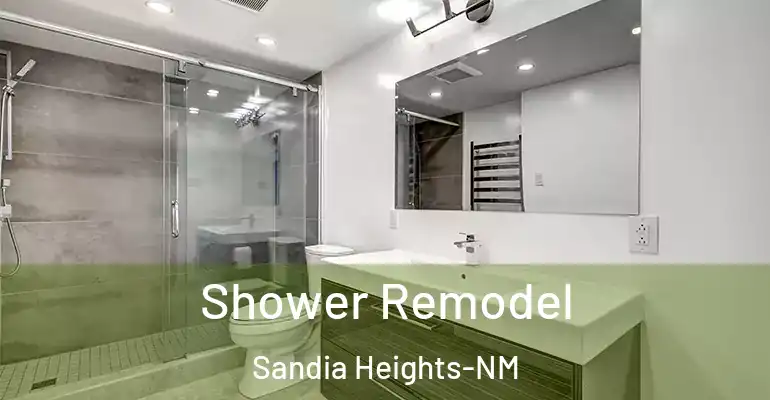 inner Bathroom imggen Shower Remodel Sandia Heights-NM