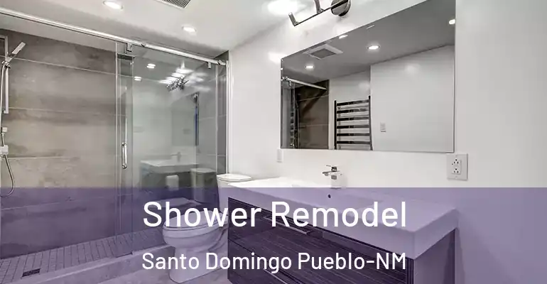inner Bathroom imggen Shower Remodel Santo Domingo Pueblo-NM