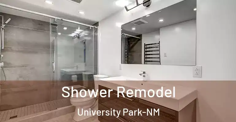 inner Bathroom imggen Shower Remodel University Park-NM