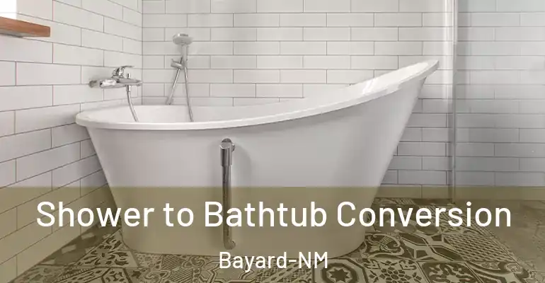 inner Bathroom imggen Shower to Bathtub Conversion Bayard-NM