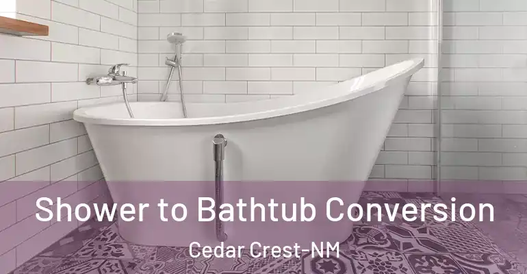 inner Bathroom imggen Shower to Bathtub Conversion Cedar Crest-NM