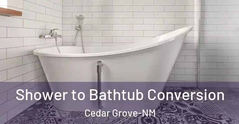 inner Bathroom imggen Shower to Bathtub Conversion Cedar Grove-NM