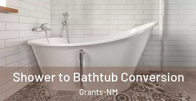 inner Bathroom imggen Shower to Bathtub Conversion Grants-NM