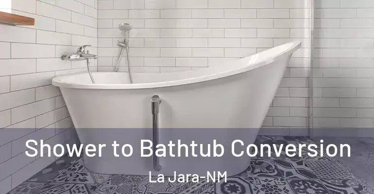 inner Bathroom imggen Shower to Bathtub Conversion La Jara-NM