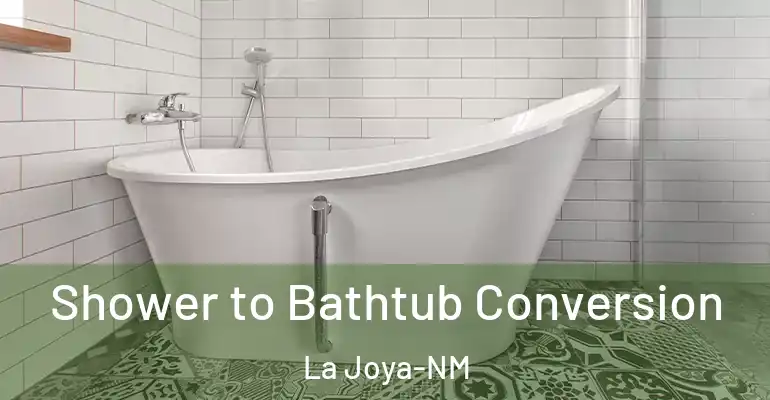 inner Bathroom imggen Shower to Bathtub Conversion La Joya-NM