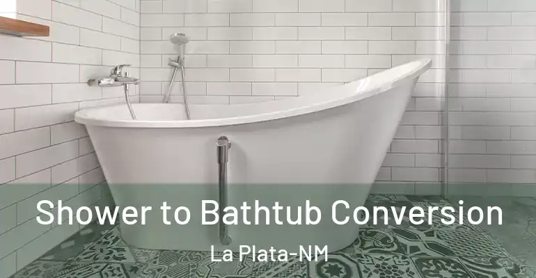 inner Bathroom imggen Shower to Bathtub Conversion La Plata-NM