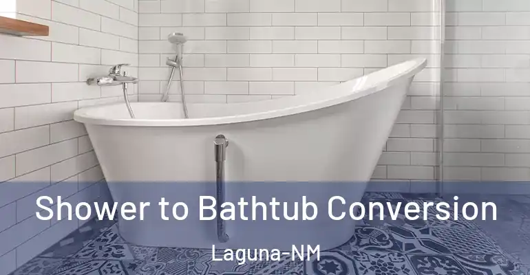 inner Bathroom imggen Shower to Bathtub Conversion Laguna-NM