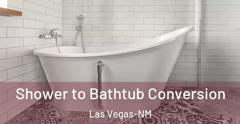 inner Bathroom imggen Shower to Bathtub Conversion Las Vegas-NM