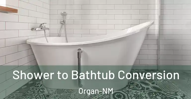 inner Bathroom imggen Shower to Bathtub Conversion Organ-NM