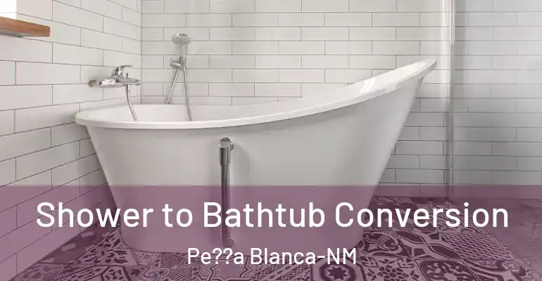 inner Bathroom imggen Shower to Bathtub Conversion Pe??a Blanca-NM