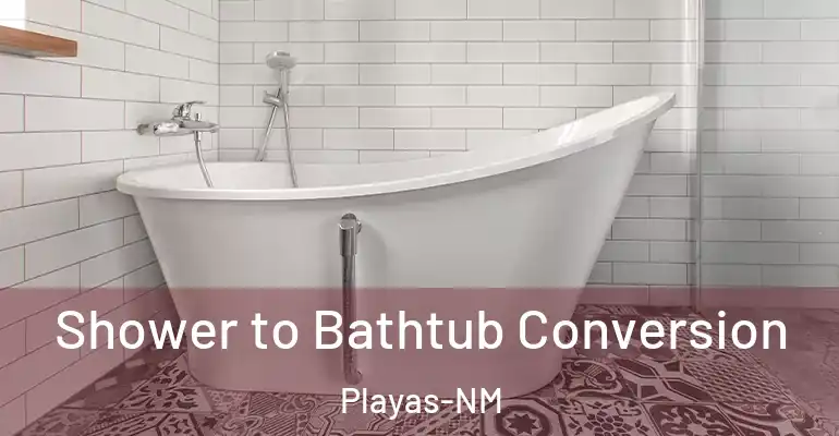 inner Bathroom imggen Shower to Bathtub Conversion Playas-NM