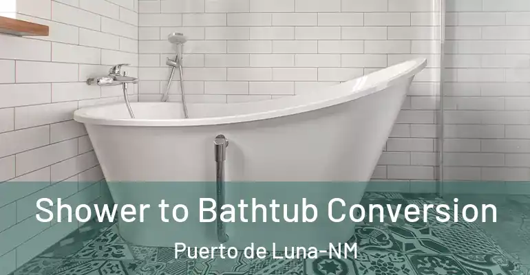 inner Bathroom imggen Shower to Bathtub Conversion Puerto de Luna-NM