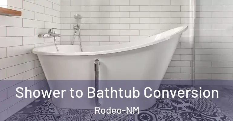 inner Bathroom imggen Shower to Bathtub Conversion Rodeo-NM