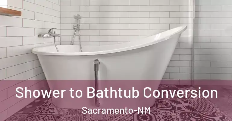 inner Bathroom imggen Shower to Bathtub Conversion Sacramento-NM