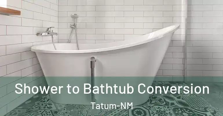 inner Bathroom imggen Shower to Bathtub Conversion Tatum-NM