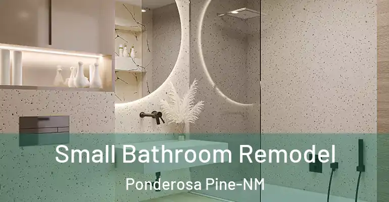 inner Bathroom imggen Small Bathroom Remodel Ponderosa Pine-NM
