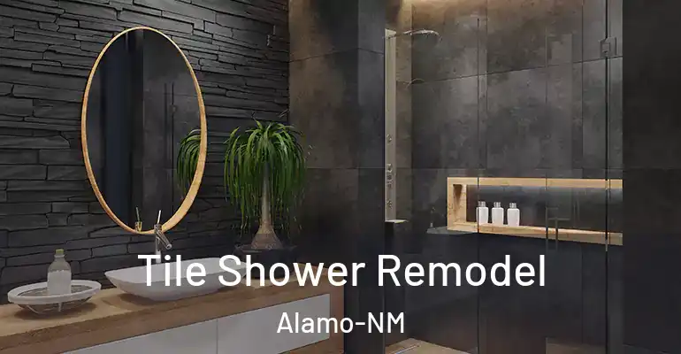 inner Bathroom imggen Tile Shower Remodel Alamo-NM
