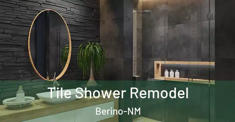 inner Bathroom imggen Tile Shower Remodel Berino-NM