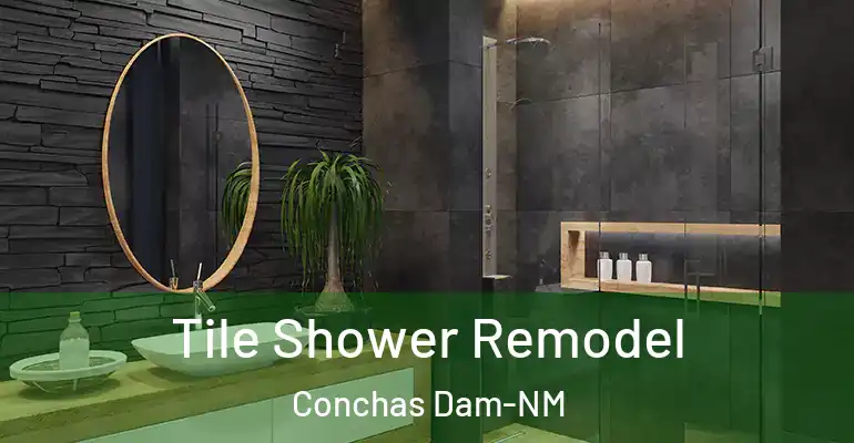 inner Bathroom imggen Tile Shower Remodel Conchas Dam-NM
