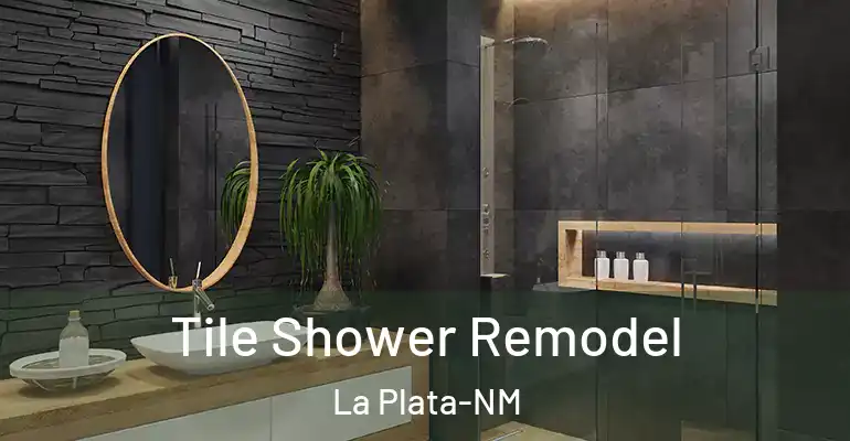 inner Bathroom imggen Tile Shower Remodel La Plata-NM
