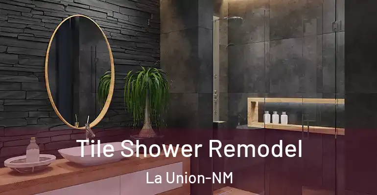 inner Bathroom imggen Tile Shower Remodel La Union-NM