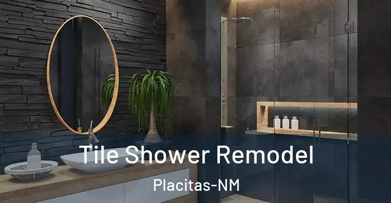 inner Bathroom imggen Tile Shower Remodel Placitas-NM