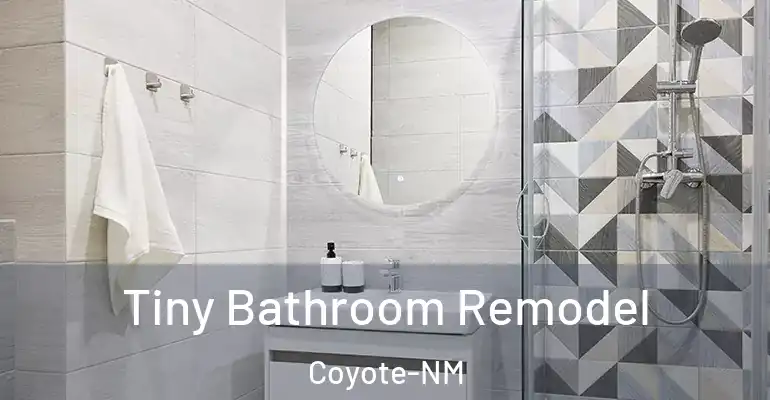 inner Bathroom imggen Tiny Bathroom Remodel Coyote-NM