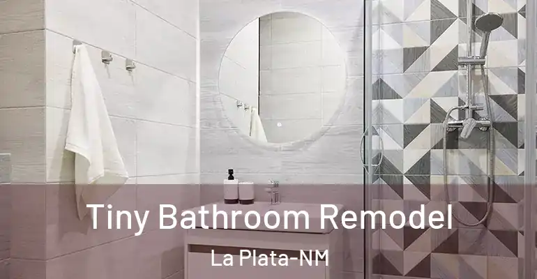 inner Bathroom imggen Tiny Bathroom Remodel La Plata-NM