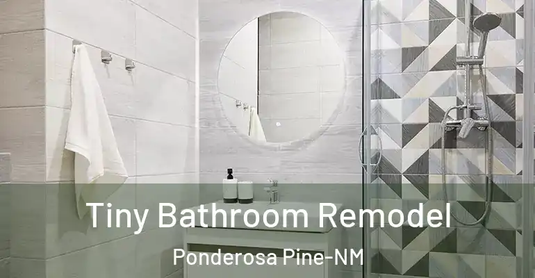 inner Bathroom imggen Tiny Bathroom Remodel Ponderosa Pine-NM