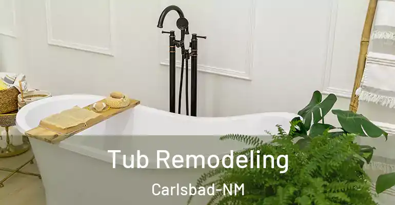 inner Bathroom imggen Tub Remodeling Carlsbad-NM