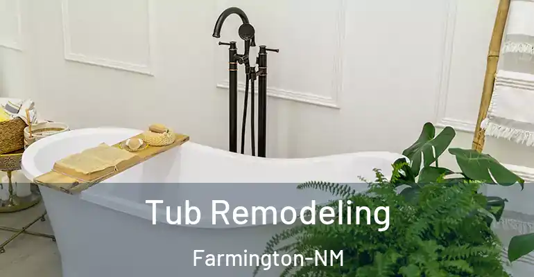 inner Bathroom imggen Tub Remodeling Farmington-NM