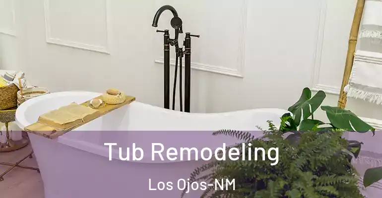inner Bathroom imggen Tub Remodeling Los Ojos-NM