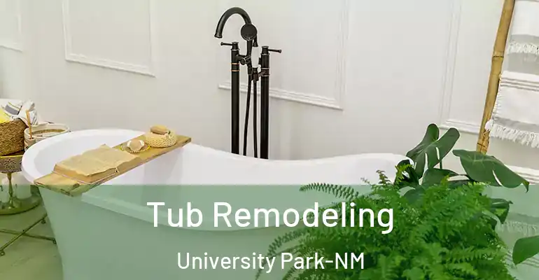 inner Bathroom imggen Tub Remodeling University Park-NM