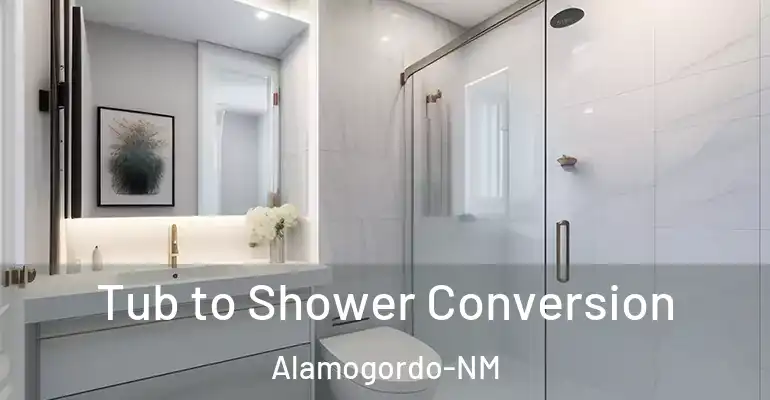 inner Bathroom imggen Tub to Shower Conversion Alamogordo-NM