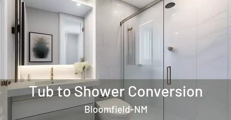 inner Bathroom imggen Tub to Shower Conversion Bloomfield-NM