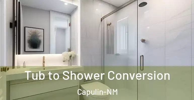 inner Bathroom imggen Tub to Shower Conversion Capulin-NM