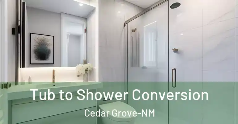 inner Bathroom imggen Tub to Shower Conversion Cedar Grove-NM