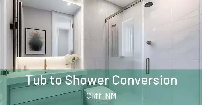 inner Bathroom imggen Tub to Shower Conversion Cliff-NM