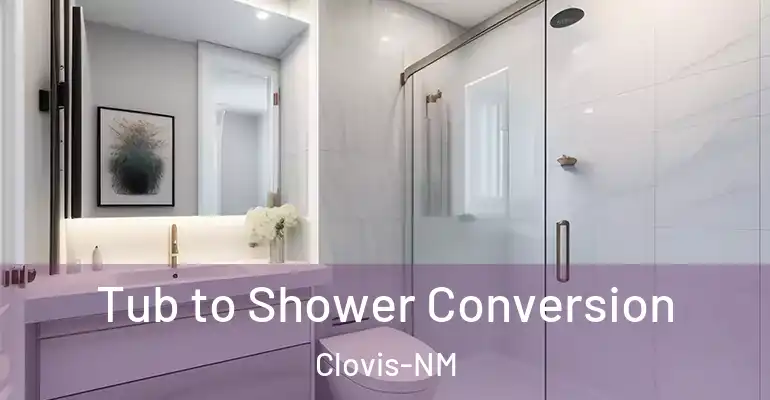 inner Bathroom imggen Tub to Shower Conversion Clovis-NM