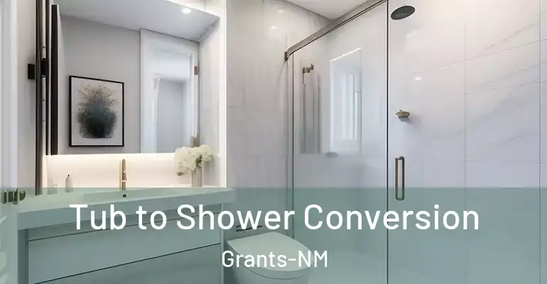 inner Bathroom imggen Tub to Shower Conversion Grants-NM