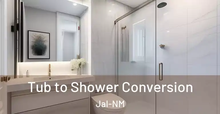 inner Bathroom imggen Tub to Shower Conversion Jal-NM