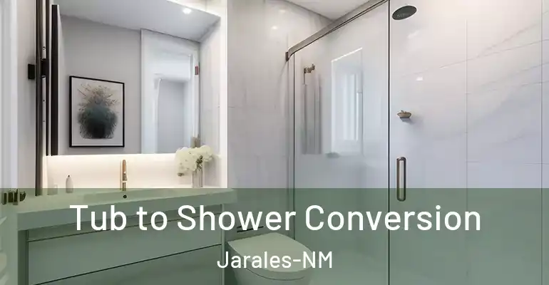 inner Bathroom imggen Tub to Shower Conversion Jarales-NM