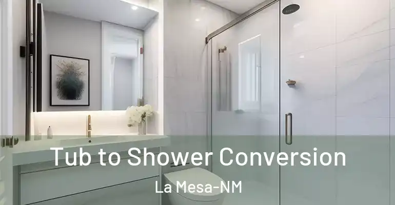inner Bathroom imggen Tub to Shower Conversion La Mesa-NM