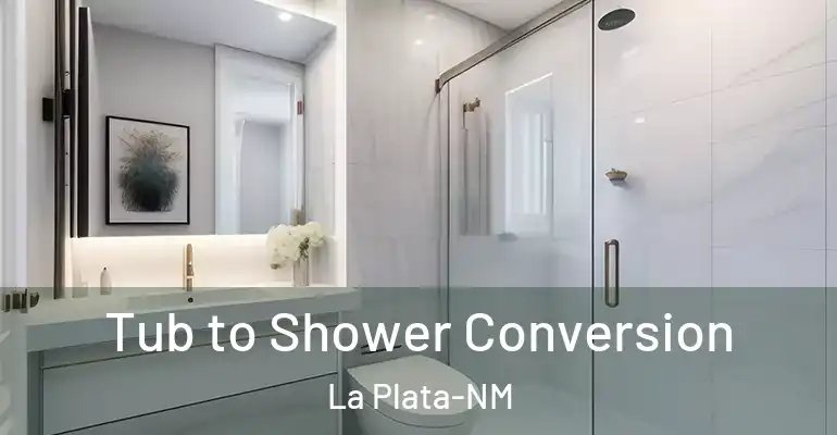 inner Bathroom imggen Tub to Shower Conversion La Plata-NM