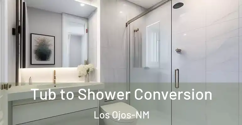 inner Bathroom imggen Tub to Shower Conversion Los Ojos-NM