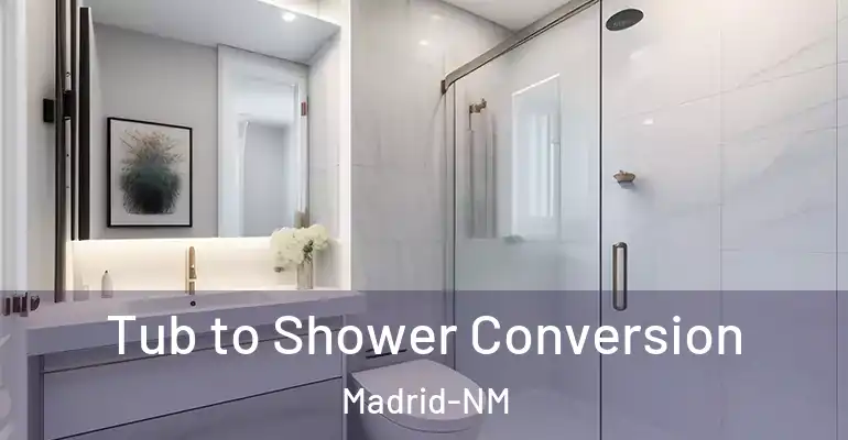 inner Bathroom imggen Tub to Shower Conversion Madrid-NM