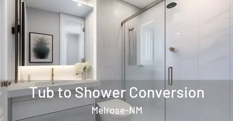 inner Bathroom imggen Tub to Shower Conversion Melrose-NM