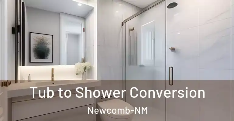 inner Bathroom imggen Tub to Shower Conversion Newcomb-NM