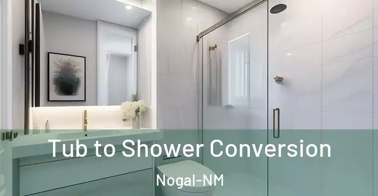 inner Bathroom imggen Tub to Shower Conversion Nogal-NM